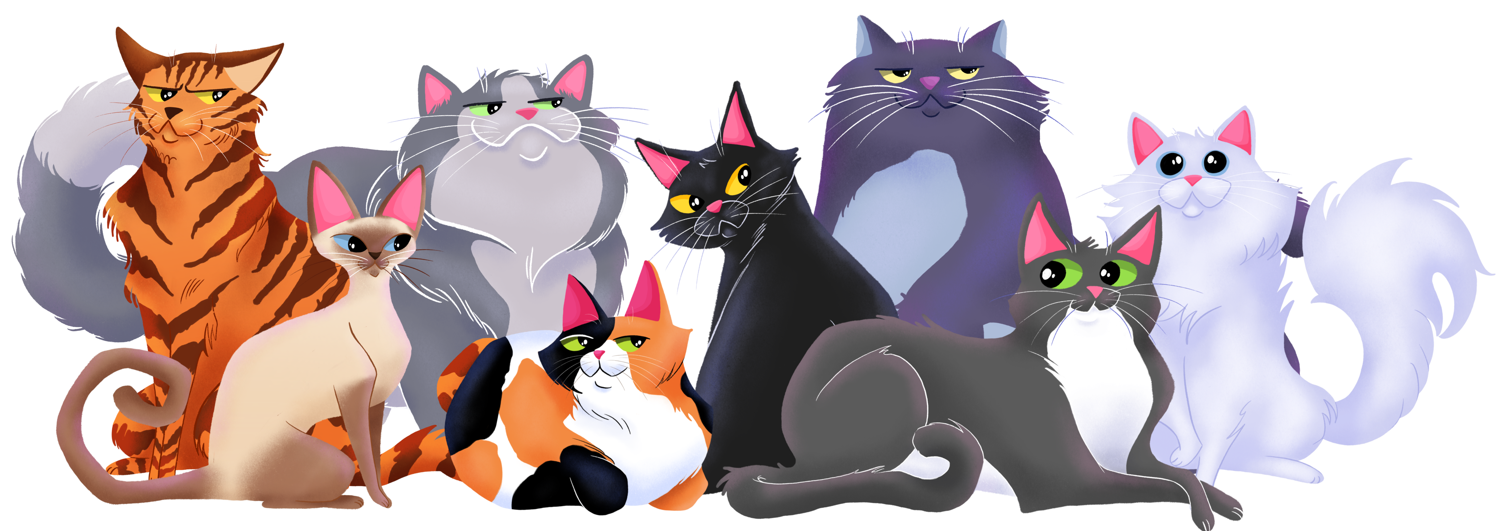 The Catnip Cartel crew